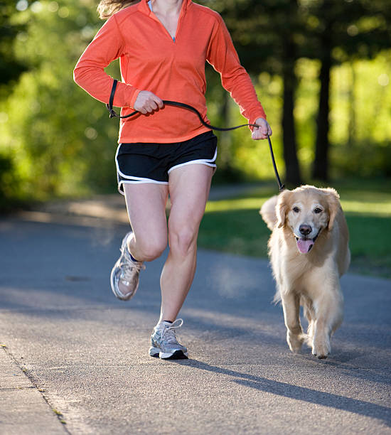 istock Golden Retriever and Woman Jogging on a Paved Path. 183062162