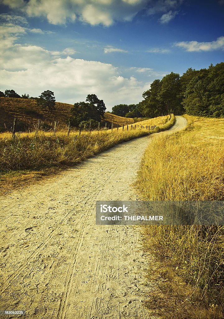 Dirty road north carolina - Foto stock royalty-free di Agricoltura