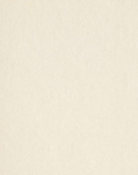 リサイクル紙の背景 - fiber rice paper paper white ストックフォトと画像