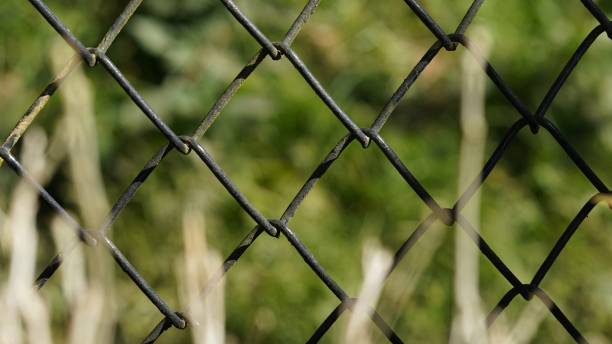 very closeup shot of cage
