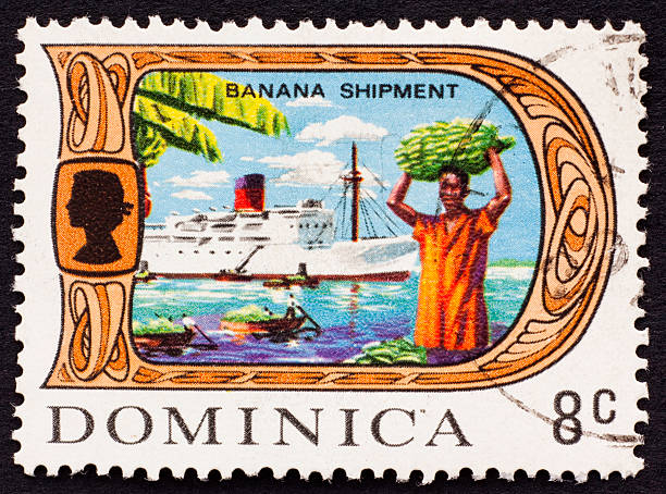 istock Dominca stamp showing banana shipping 183062684