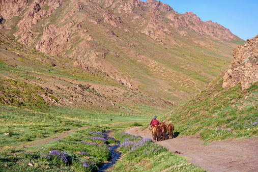 Mongolian horseback rider, mountains in background.http://bem.2be.pl/IS/mongolia_380.jpg