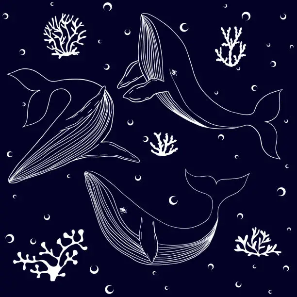 Vector illustration of Collection of blue whales with corals and bubbles