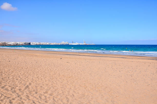 istock Landscape in Tropical Volcanic Canary Islands Spain 1830629447