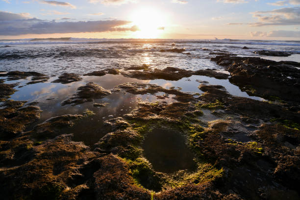 istock The Sun Setting in the Sea 1830629450