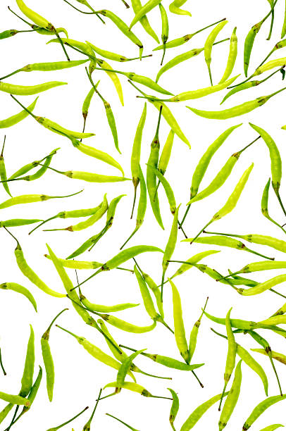 Pepper Background