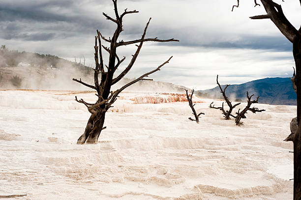 Mammoth Hot Springs stock photo