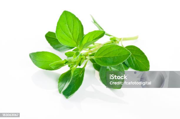 Oregano Foto de stock y más banco de imágenes de Alimento - Alimento, Comida gourmet, Comida sana