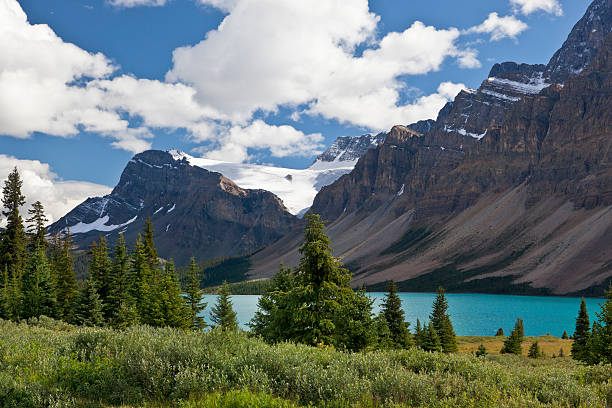 istock Bow Lake, Banff National Park 183063227