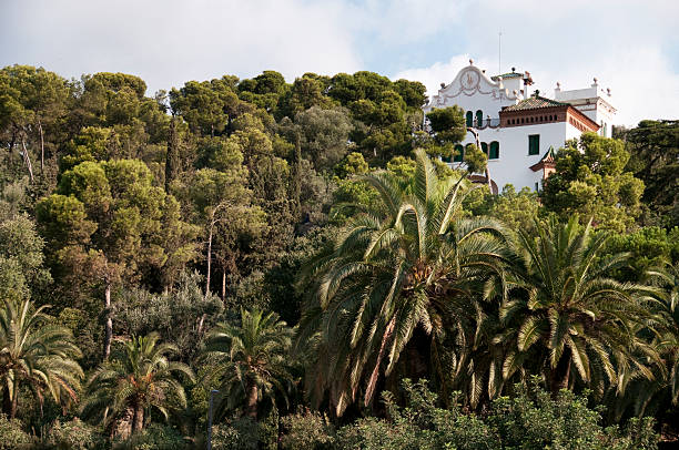 istock Trees and Architecture at Park Guell, Barcelona, Spain 183064183