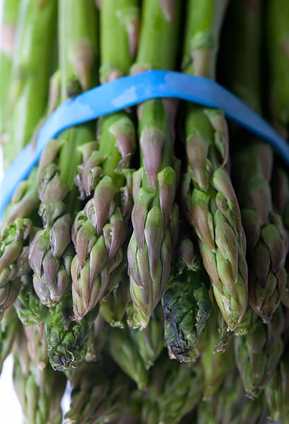 Bunch of asparagus
