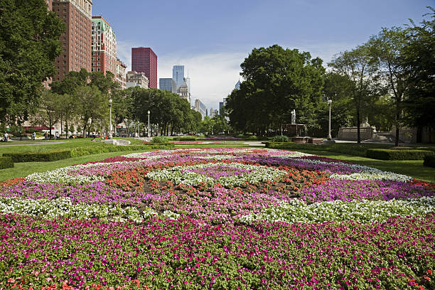 istock Chicago # 10 XXXL 183064554