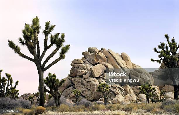 Paisaje Del Desierto Foto de stock y más banco de imágenes de Aire libre - Aire libre, Arbusto, Arena