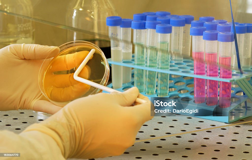 Químicos de laboratório de investigação, a análise de amostras diferentes em frascos para injectáveis - Royalty-free Analisar Foto de stock