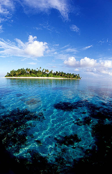 istock Maldives, southern atolls, Island. 183065040