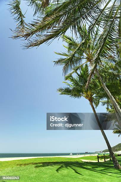 Tropischen Strandszene Stockfoto und mehr Bilder von Architektur - Architektur, Baum, Bildhintergrund