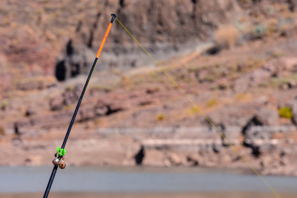 istock Fishing with rod on lake 1830653526