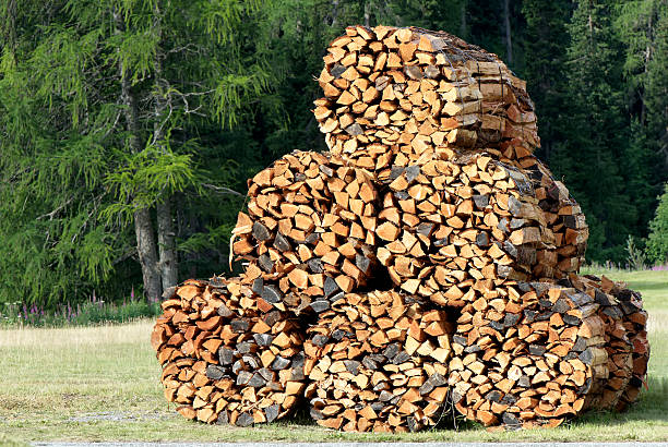 swiss timber pile - swisse photos et images de collection