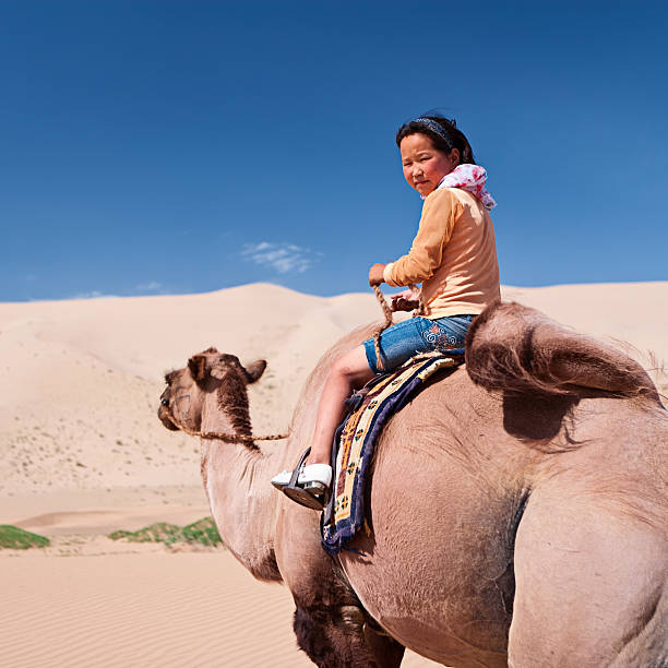 istock Young girl riding on the camel 183065666