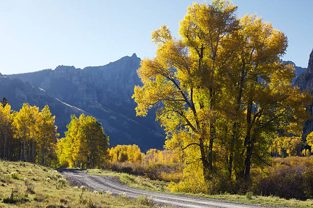 istock Colorado Country Road in Autumn 183065737