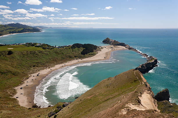 istock Castlepoint Overlook On Surfers Beach 183066114