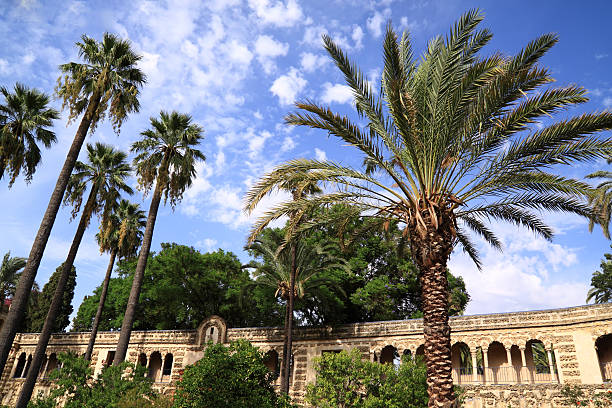 Seville (Sevilla). The Royal Alcazar ( Reales Alcazares ). Gardens. "External view of a garden in the Royal Alcazar (Royal Fortress) in Sevilla, Andalucia, Spain.The Royal Alcazar's origin can be situated in the X century, in the era of Abd Al-Rahman, the first Califf of Andalucia, who decided to build it in 913, after a revolt against his government. From then, the fortress underwent several reforms and was theater of numerous historical events. In the XVIII century the royal family of the Borbons stayed here during four years, when the Alcazar lived splendid moments. Tha Alcazar's Gardens are a world known example of gardening architecture." alcazares reales of sevilla stock pictures, royalty-free photos & images