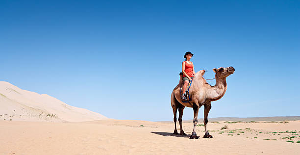istock Young woman riding on the camel 183066196