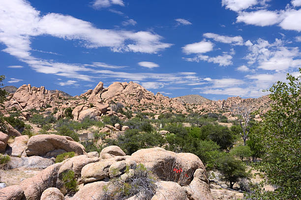 A batholith adjacent to Interstate 10 near Willcox, Arizona. Shrubs and wildflowers cling to existence in the arid environment of the Sonoran desert of southern Arizona