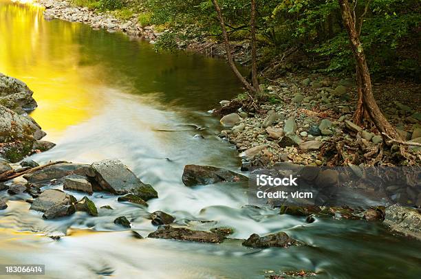 Foto de Stream No Outono e mais fotos de stock de Arbusto - Arbusto, Cascata, Colorido