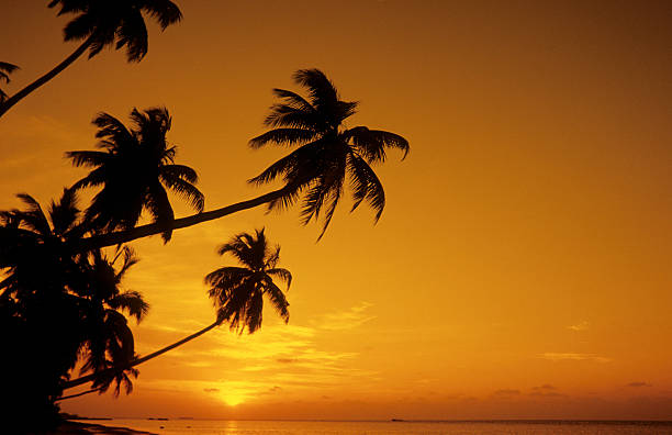 istock Maldives, southern atolls, sunset. 183066488