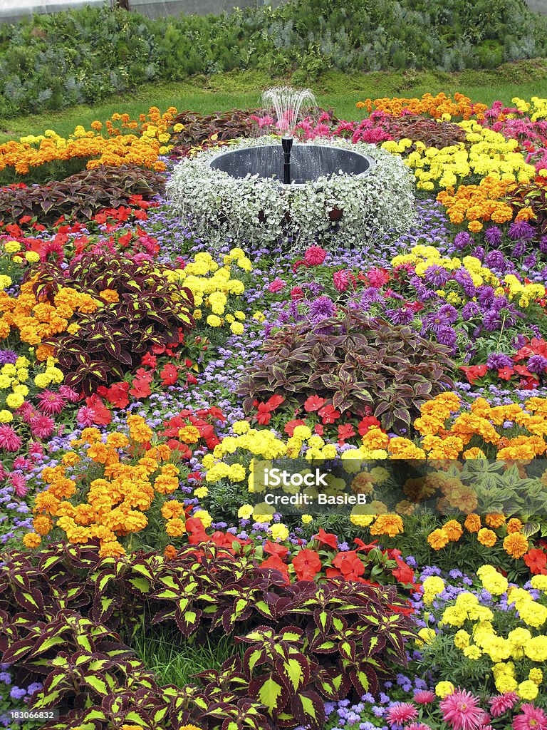 Jardin de fleurs en été - Photo de Fontaine libre de droits