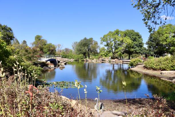 istock Lake in the Countryside 1830669658