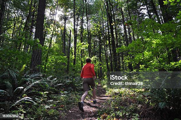 Trail Runner - Fotografias de stock e mais imagens de Corrida de corta-mato - Correr Fora de Pista - Corrida de corta-mato - Correr Fora de Pista, Homens, Noroeste do Pacífico