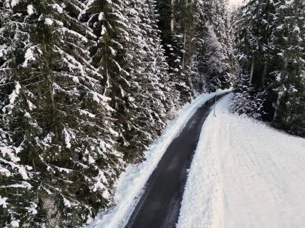 Winter road in snow covered forest, Black Forest, Baiersbronn-Obertal, Germany