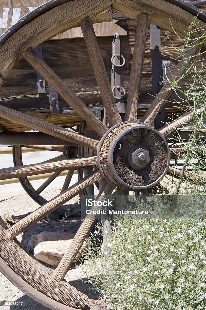 캘리코 유령 타운: 왜건 휠 및 꽃 - 로열티 프리 0명 스톡 사진