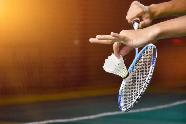 Photo of Badminton Sports