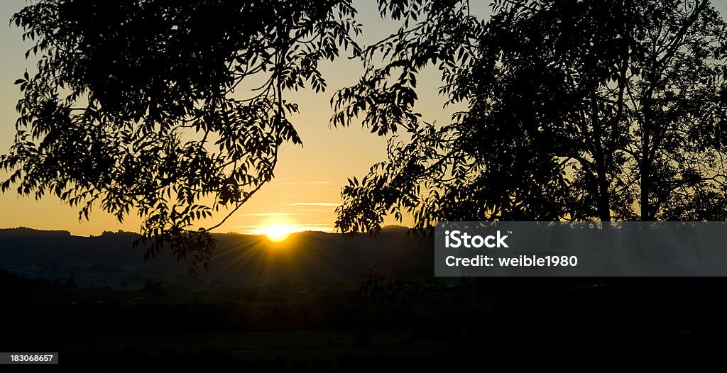 silhouette tramonto attraverso alberi - Foto stock royalty-free di Alba - Crepuscolo