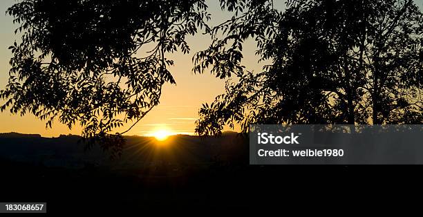 Pôr Do Sol Através De Silhueta De Árvores - Fotografias de stock e mais imagens de Alemanha - Alemanha, Amanhecer, Amarelo