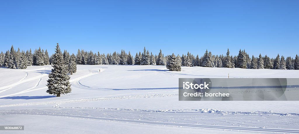 Paisaje de invierno - Foto de stock de Campo - Tierra cultivada libre de derechos