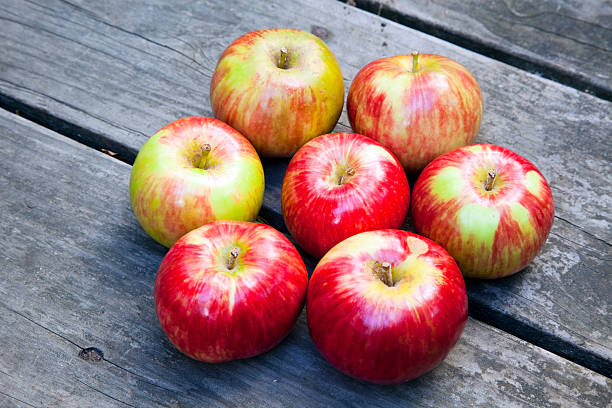 7 つのりんご - rome beauty ストックフォトと画像