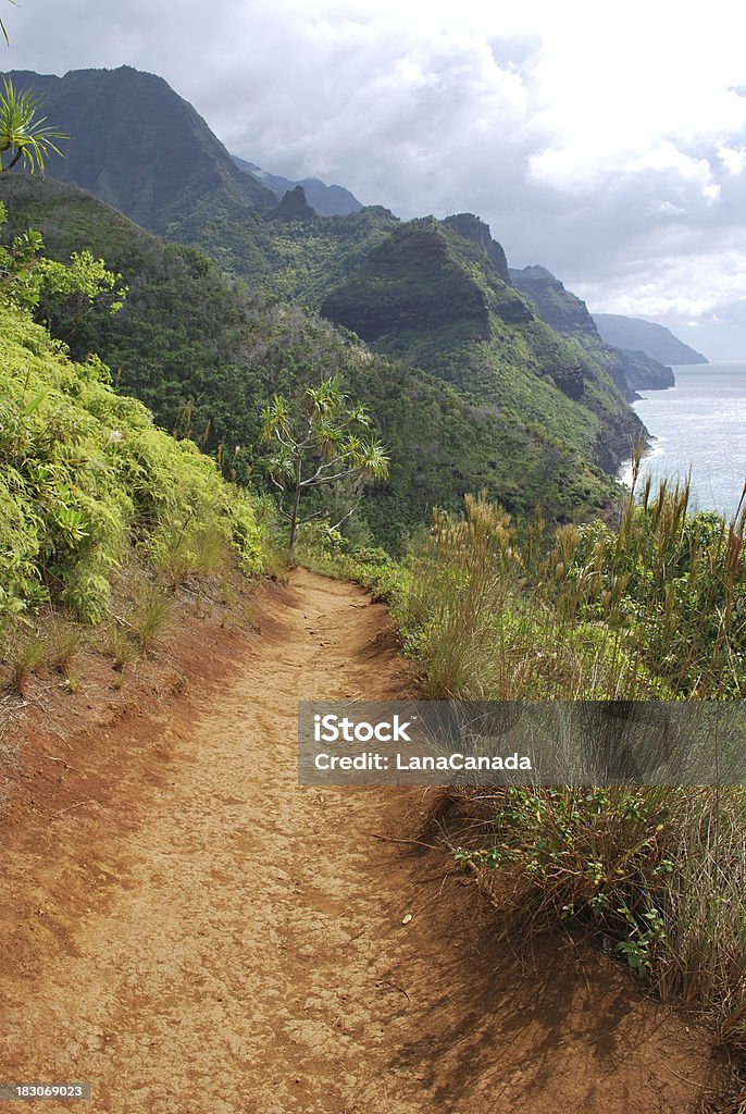 Панорамный вид на Побережье На-Пали на Кауаи, Гавайи. - Стоковые фото Грунтовая дорога роялти-фри