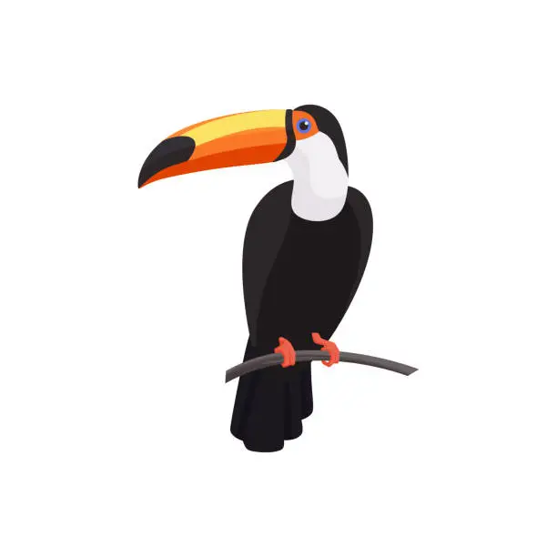 Vector illustration of Toucan bird with big bill sitting on tree branch in tropical forest