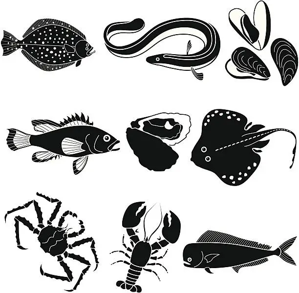 Vector illustration of ocean fish