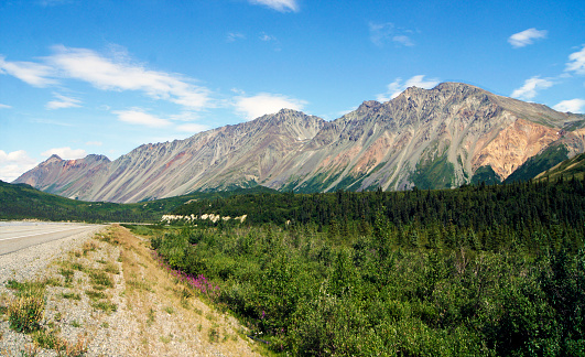 Landscape on the Richardson Hw route, from Valdez to Fairbanks, Alaska - United States