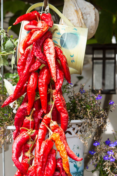 istock Bunch of red chili peppers 1830738025