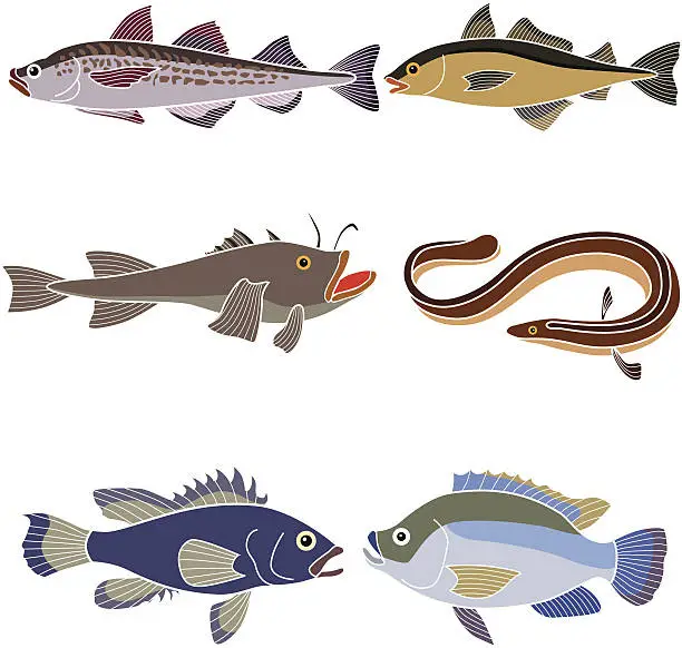Vector illustration of ocean fish