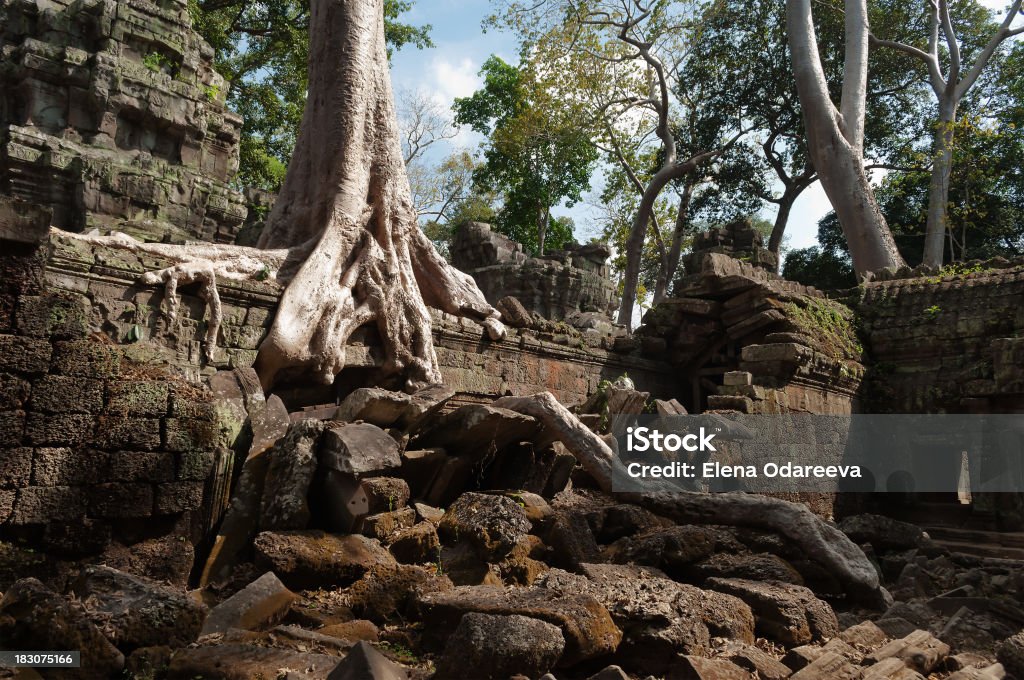 Ta Prohm Temple. Angkor. Cambodia Angkor Stock Photo