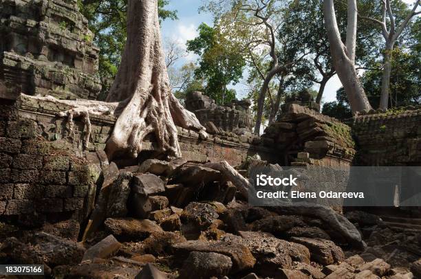 Ta Prohm Temple Angkor Cambodia Stock Photo - Download Image Now - Angkor, Architecture, Asia