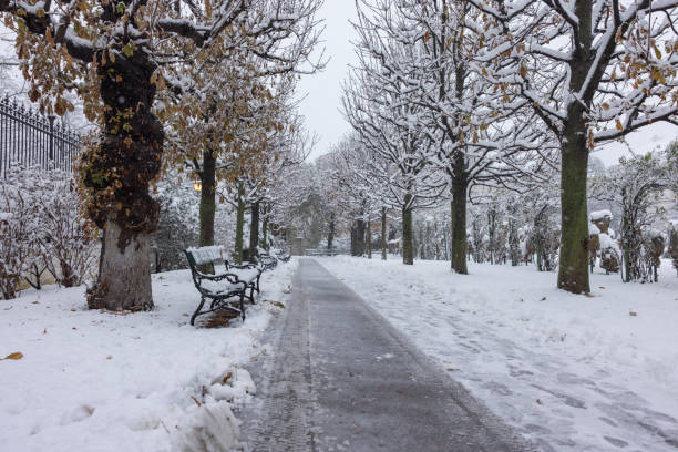 a snow covered alley with benches in a park in vienna in winter - snow winter bench park imagens e fotografias de stock