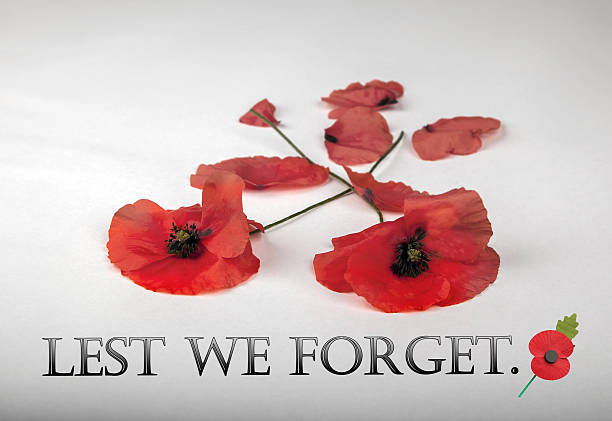istock Poppies for Remembrance Day - Lest We Forget 183075340